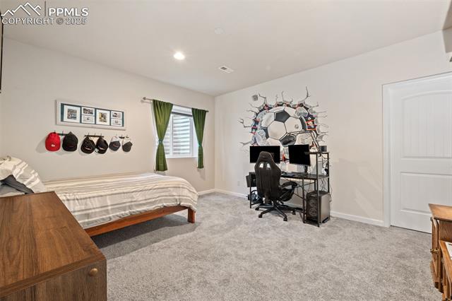 15704 Pole Pine Point