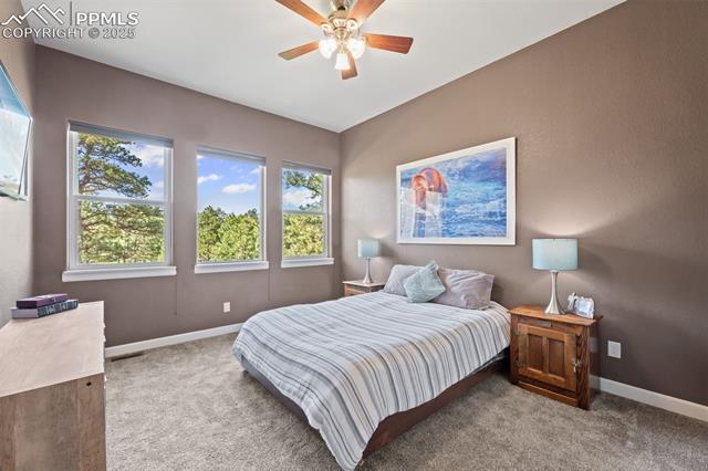 15704 Pole Pine Point