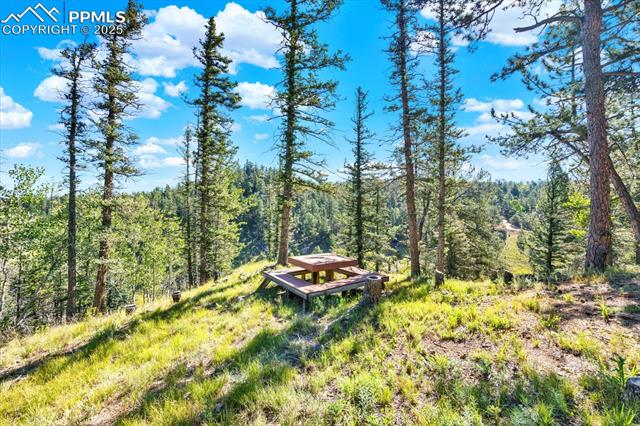 341 Rainbow Trail