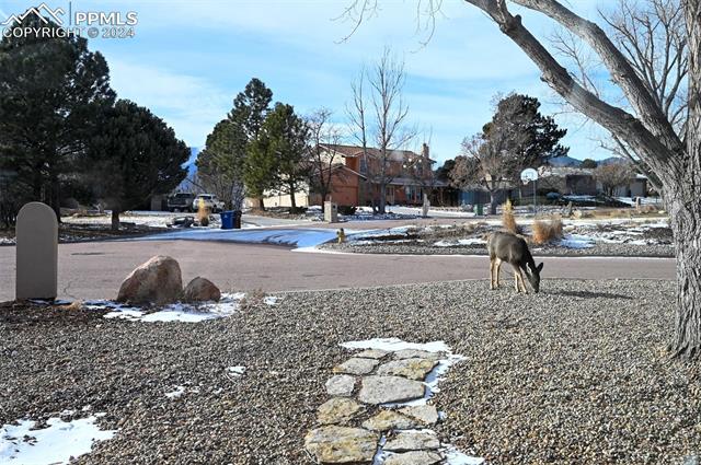 114 Sunbird Cliffs Lane