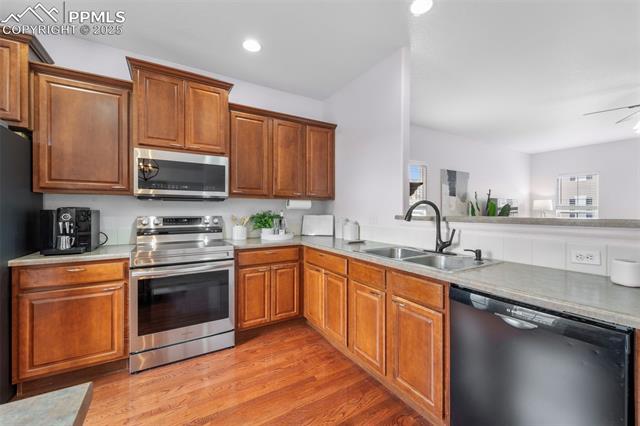 1143 Autumn Star Point