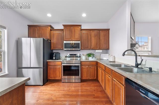 1143 Autumn Star Point