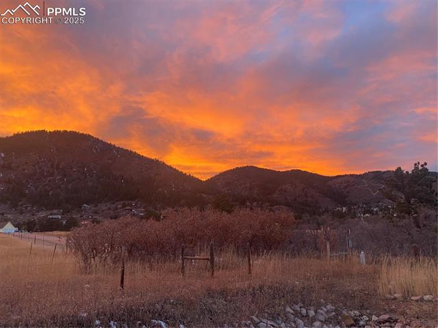 133 WHEATRIDGE Street