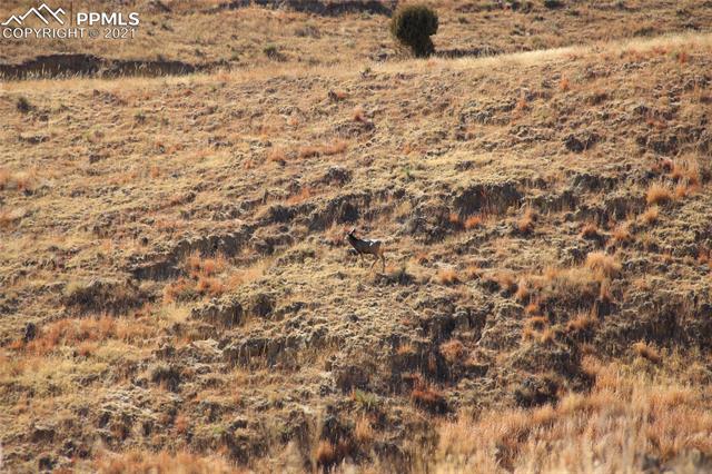 2907 S Solberg Court