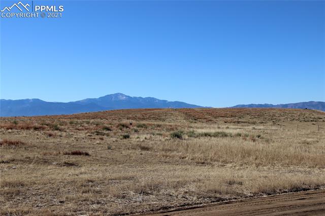 2907 S Solberg Court