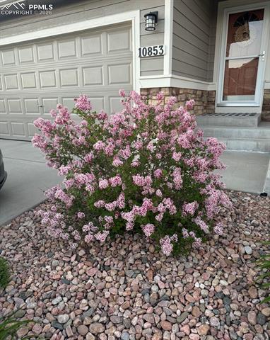 10853 Torreys Peak Way