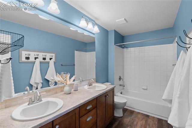 10853 Torreys Peak Way