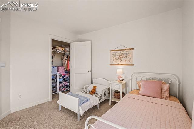 2315 Coyote Mint Drive