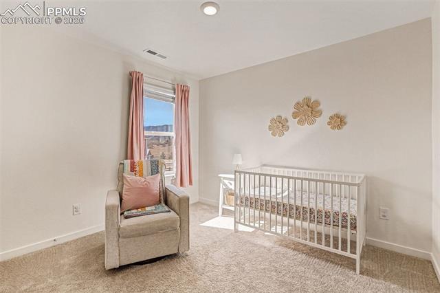 2315 Coyote Mint Drive