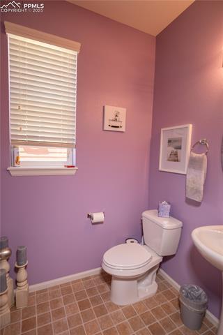 6777 Ironwood Tree Circle