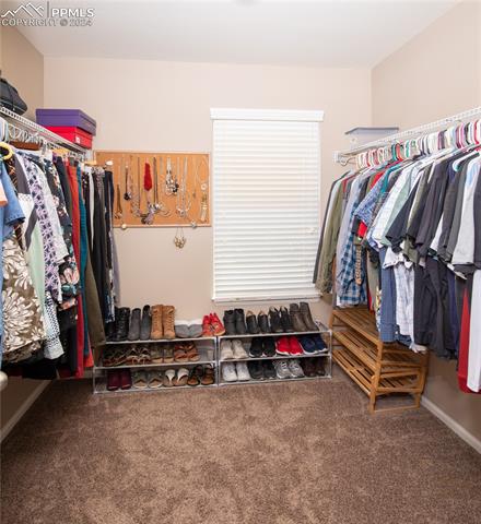 6777 Ironwood Tree Circle