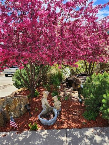 2145 Wake Forest Court