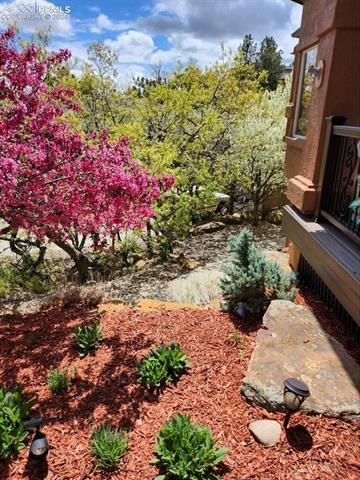 2145 Wake Forest Court