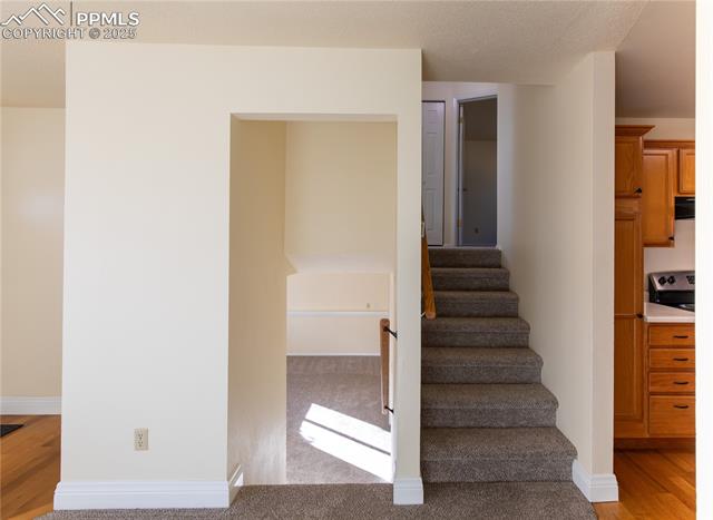 3932 Pearl Drive