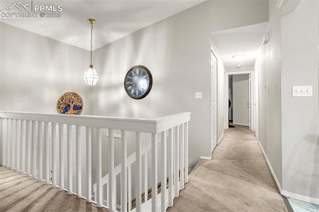 5461 Alteza Drive