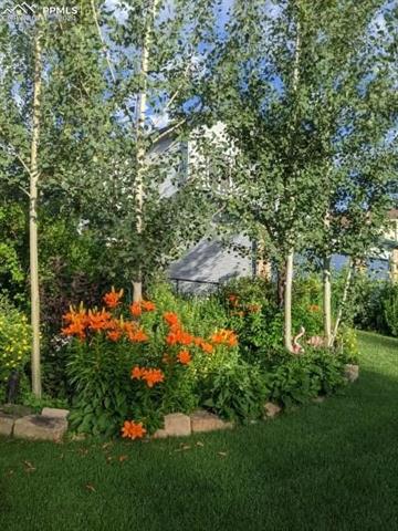 6246 Whirlwind Drive