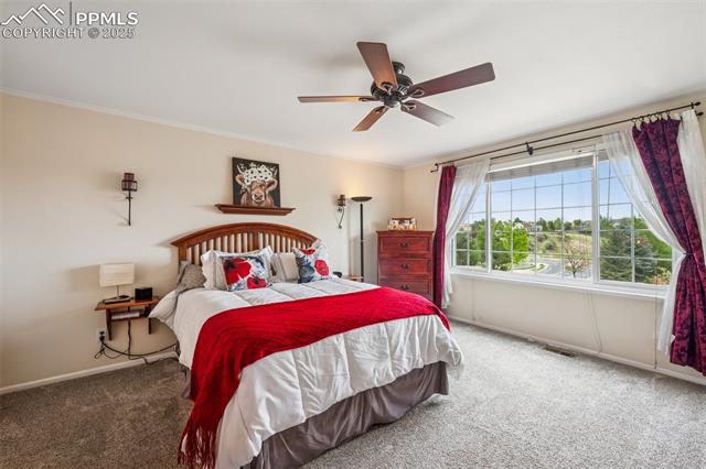 7916 Black Walnut Drive