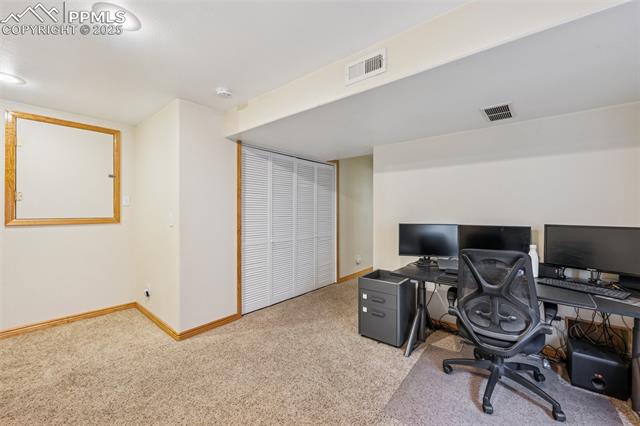 7916 Black Walnut Drive