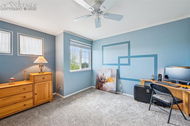 7916 Black Walnut Drive