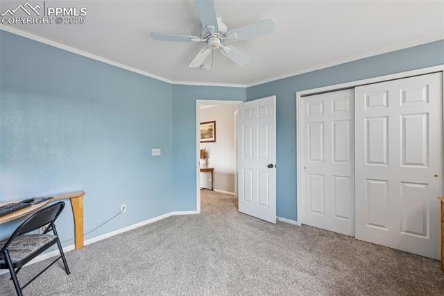 7916 Black Walnut Drive