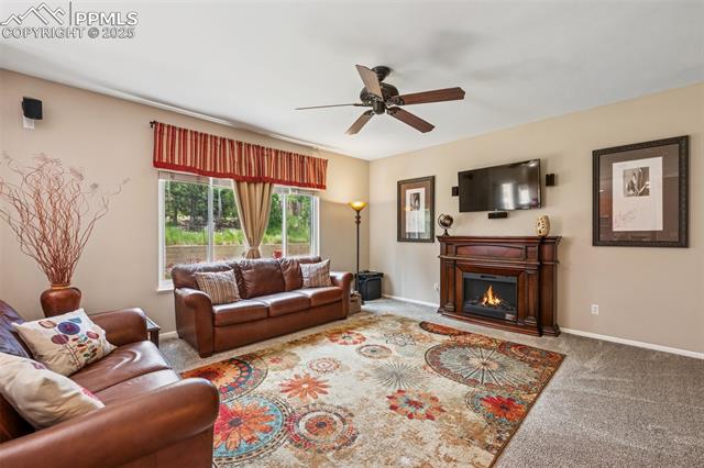 7916 Black Walnut Drive