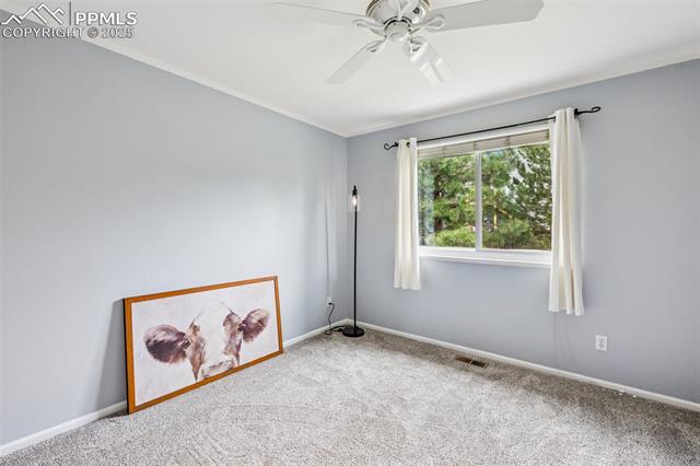 7916 Black Walnut Drive