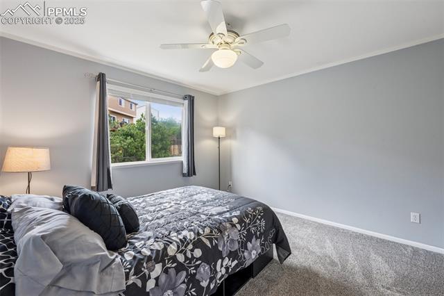 7916 Black Walnut Drive