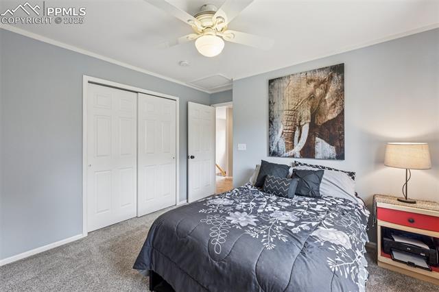 7916 Black Walnut Drive