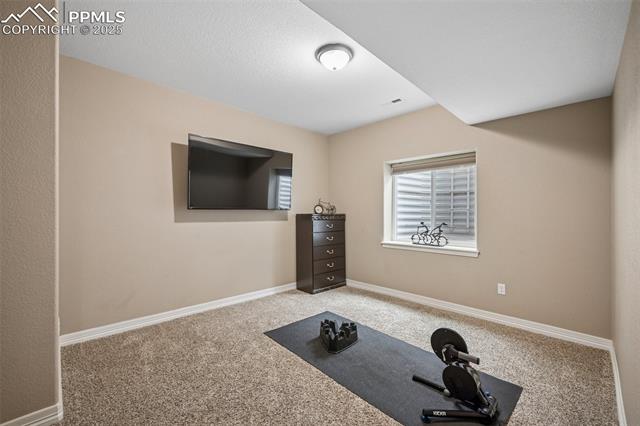 16697 Curled Oak Drive