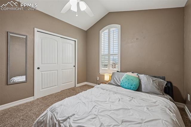 16697 Curled Oak Drive