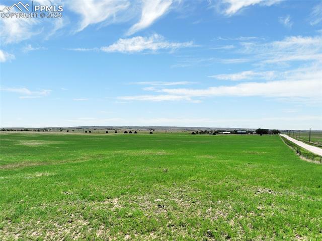 7850 N Ellicott Highway