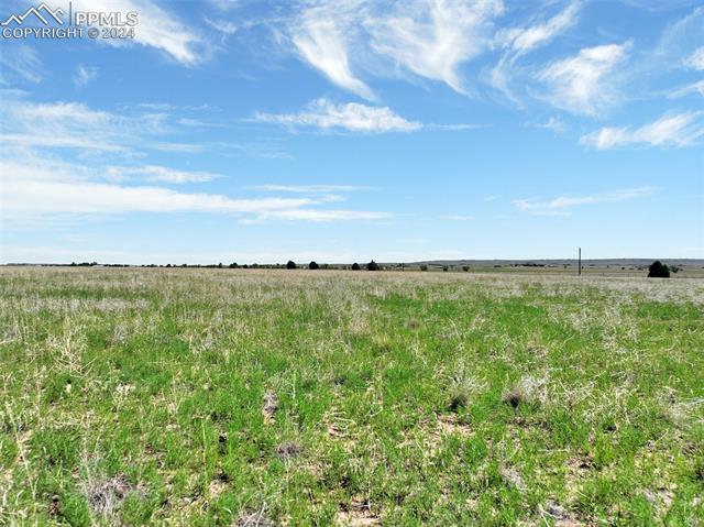 7850 N Ellicott Highway