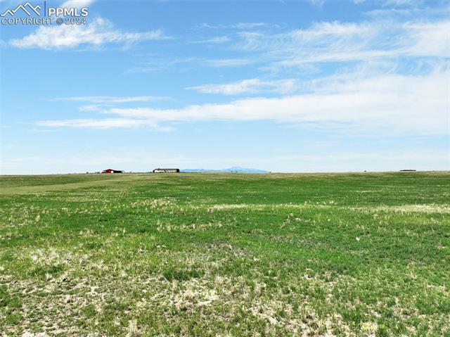 7850 N Ellicott Highway