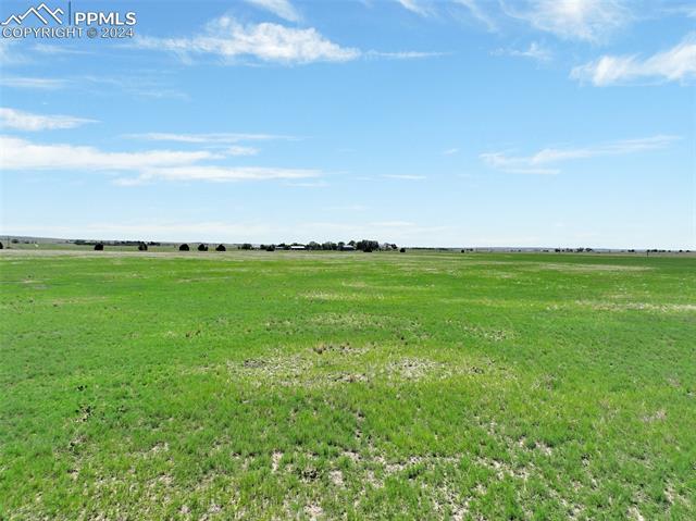 7850 N Ellicott Highway