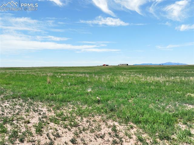 7850 N Ellicott Highway