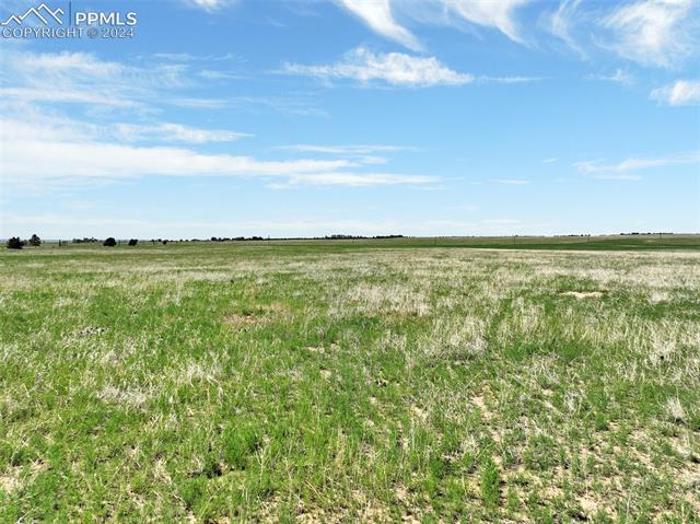 7850 N Ellicott Highway