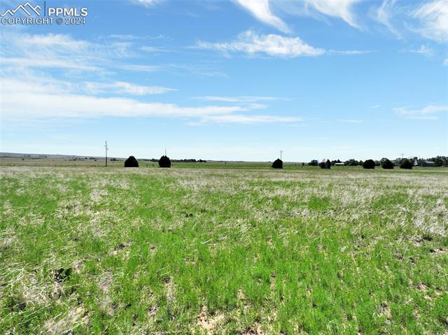 7850 N Ellicott Highway