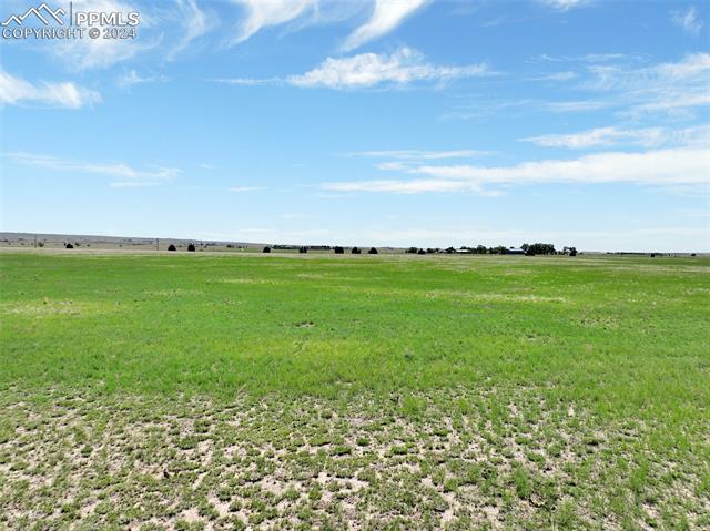 7850 N Ellicott Highway