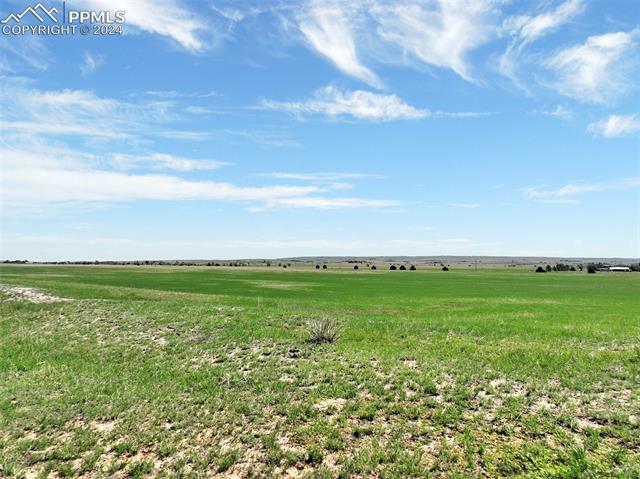 7850 N Ellicott Highway