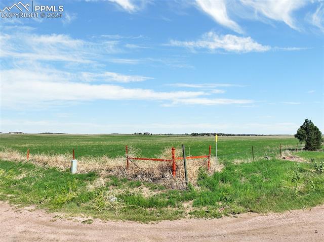 7850 N Ellicott Highway