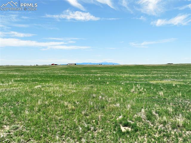 7850 N Ellicott Highway