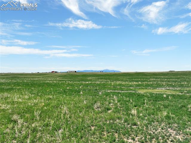 7850 N Ellicott Highway