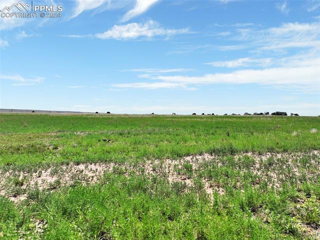 7850 N Ellicott Highway