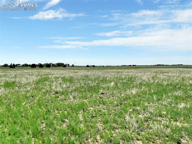 7850 N Ellicott Highway