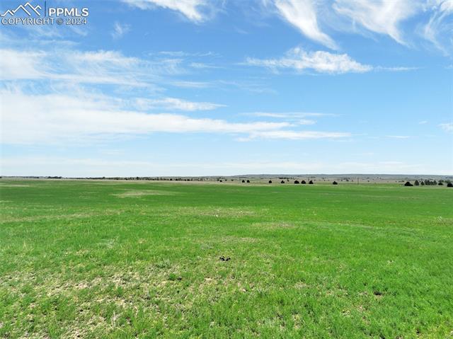 7850 N Ellicott Highway