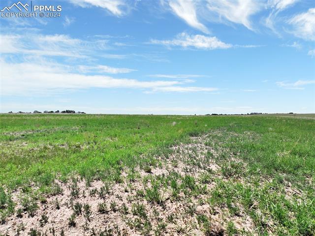 7850 N Ellicott Highway