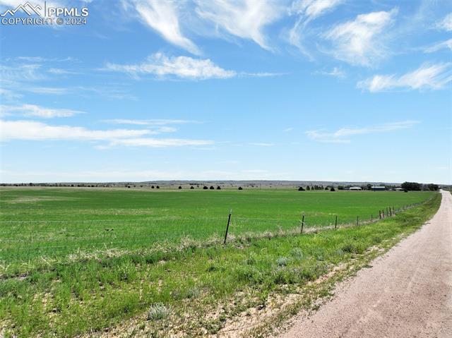 7850 N Ellicott Highway