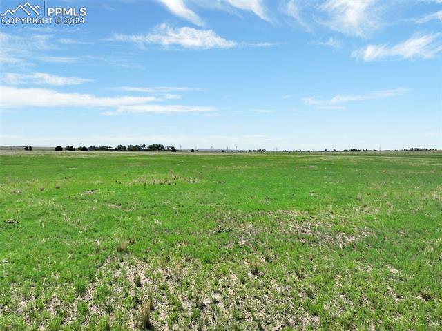 7850 N Ellicott Highway