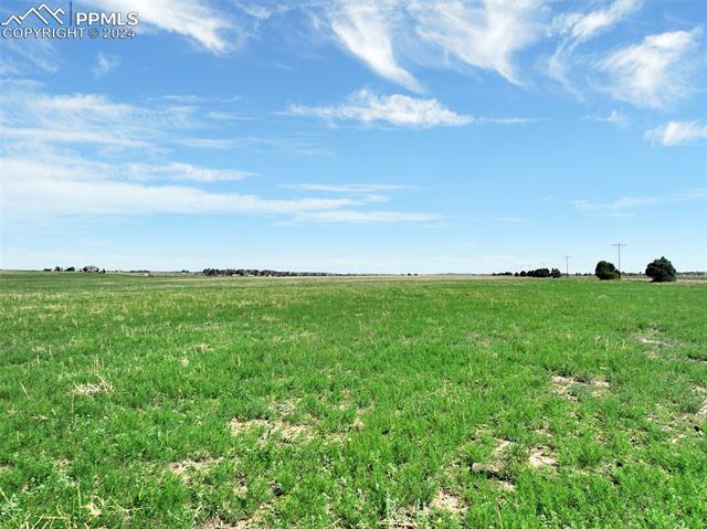 7850 N Ellicott Highway