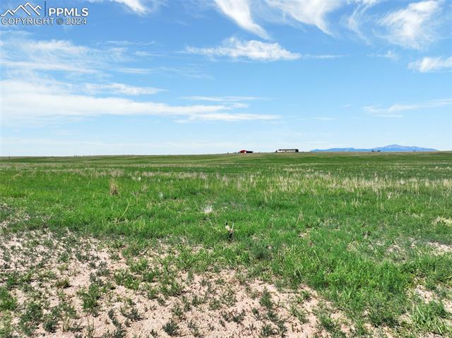 7850 N Ellicott Highway